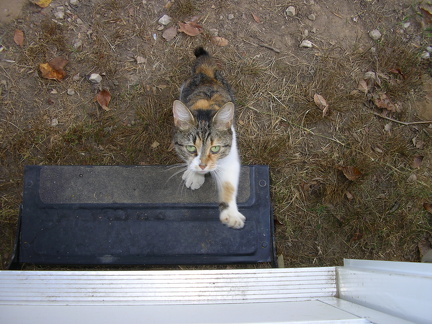  9-24-05  lynn valley 003